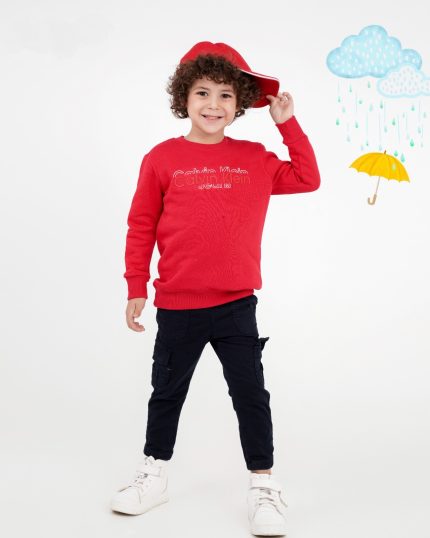 Sweatshirt calvin klein