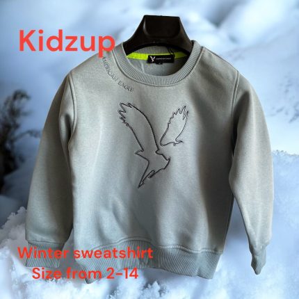 Sweatshirt American Eagle