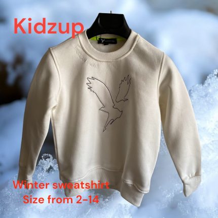 Sweatshirt American Eagle