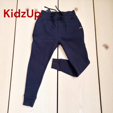Jogger Tommy sweatpants blue